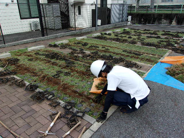 KODAK Digital Still Camera